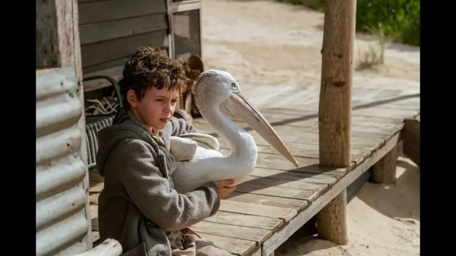 Видео к фильму Мой друг мистер Персиваль — STORM BOY - Bande Annonce VF
