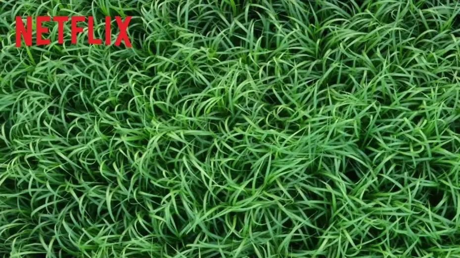 Видео к фильму В высокой траве — Nell'erba alta | Trailer ufficiale | Netflix Italia