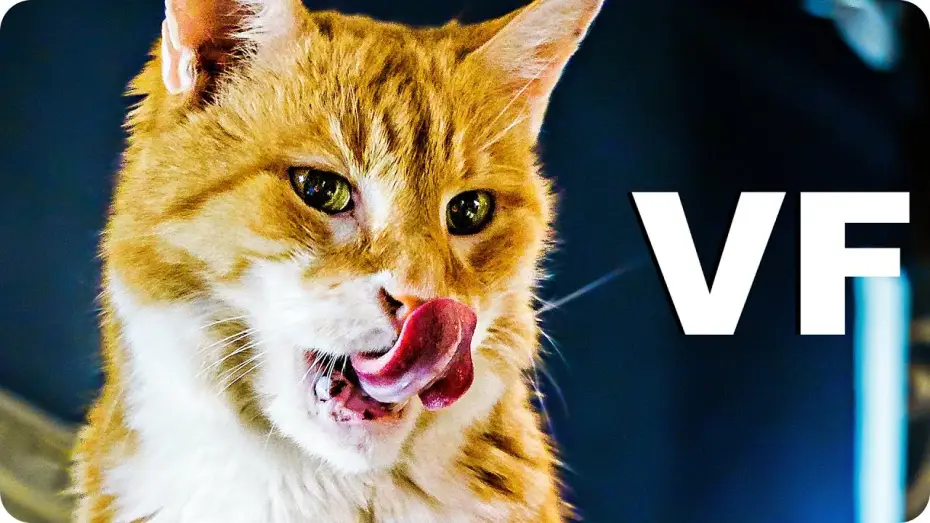 Видео к фильму Домовой — MON CHAT L'ELFE MALICIEUX ET MOI Bande Annonce VF (2020)