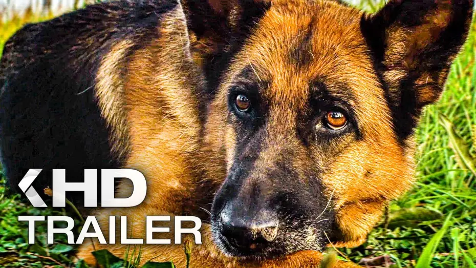 Видео к фильму Пальма — EIN HUND NAMENS PALMA Trailer German Deutsch (2021) Exklusiv