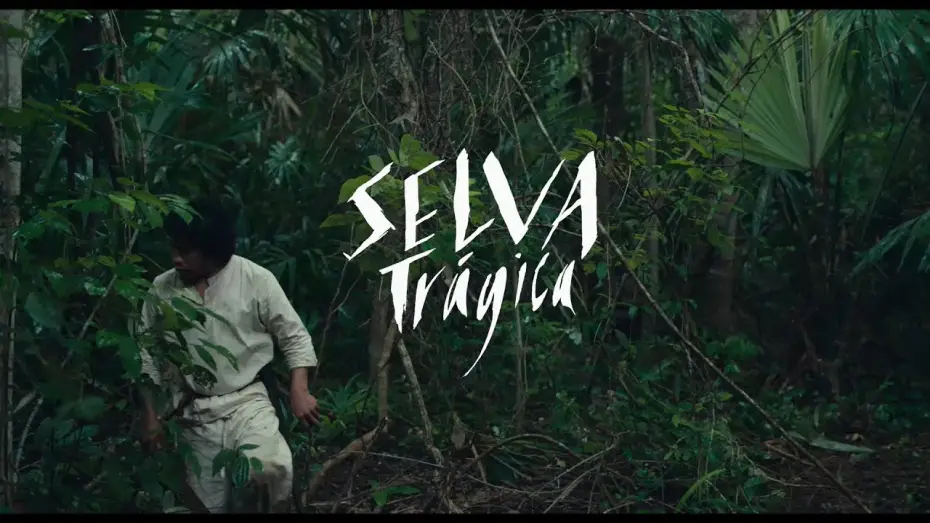 Видео к фильму Трагедии джунглей — #BIFF2020 World Cinema - Tragic Jungle / 월드 시네마 - 비탄의 정글