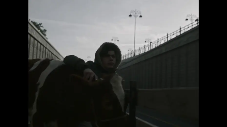 Видео к фильму Соль, перец по вкусу — Salt, Pepper to Taste - Trailer | IFFR 2019
