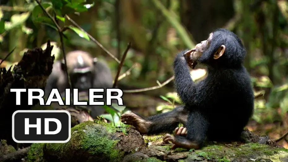 Видео к фильму Шимпанзе — Chimpanzee Official Trailer #1 (2012) Disney Nature Movie HD