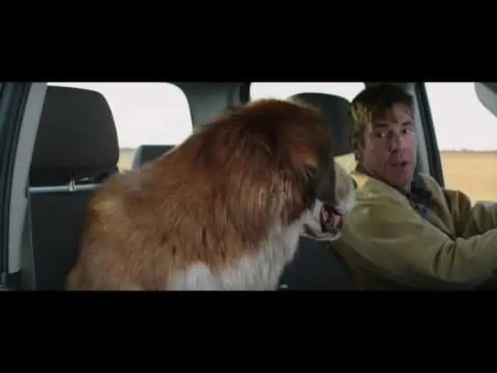 Видео к фильму Собачья жизнь | MES VIES DE CHIENS - Extrait - "Deux vieux copains" - VF