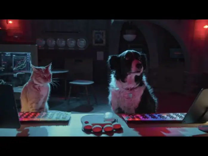 Видео к фильму Кошки против собак 3: Лапы, объединяйтесь — Como Perros y Gatos: La Patrulla Unida – Tráiler Oficial