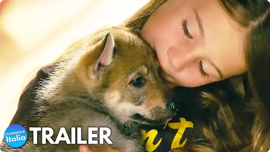 Видео к фильму Мой волк — VICKY E IL SUO CUCCIOLO (2022) Trailer ITA del Film sull'Amiciza con un Lupo