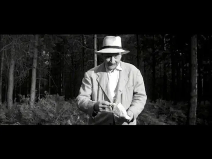 Видео к фильму Никогда не бери сладости у незнакомых — Brian Trenchard-Smith on NEVER TAKE CANDY FROM A STRANGER