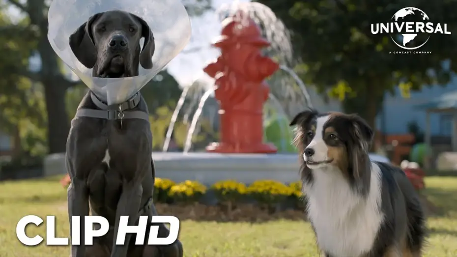 Видео к фильму Отвязные дворняги | Clip - Bug y Reggie en el parque