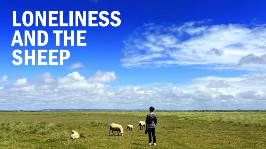 Видео к фильму Loneliness and the Sheep — Loneliness and the Sheep | Short Film