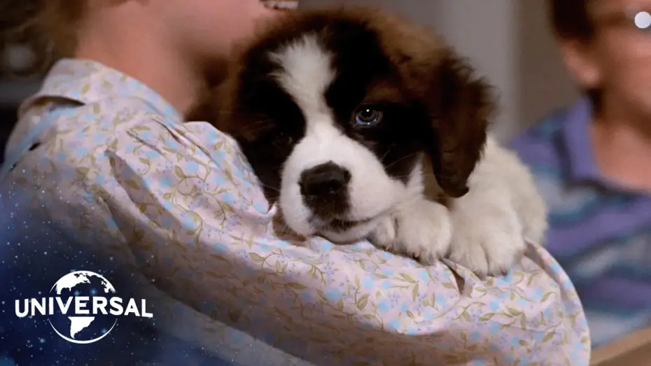 Видео к фильму Бетховен | The St. Bernard&rsquo;s Journey Home
