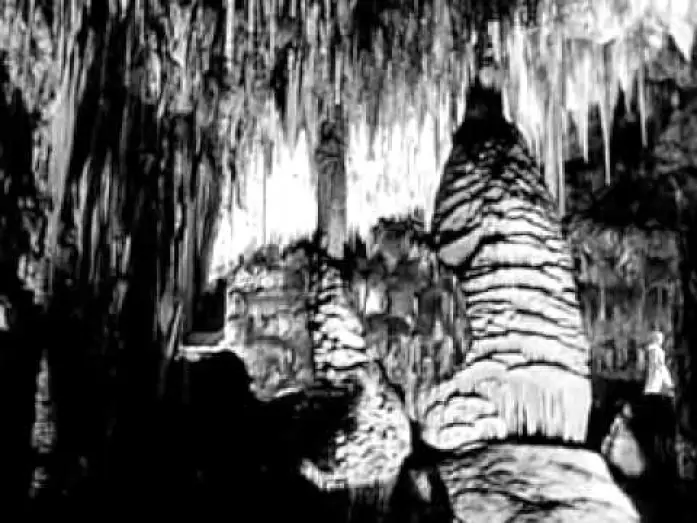 Видео к фильму Earth vs. the Spider | Die Rache der schwarzen Spinne - 1958