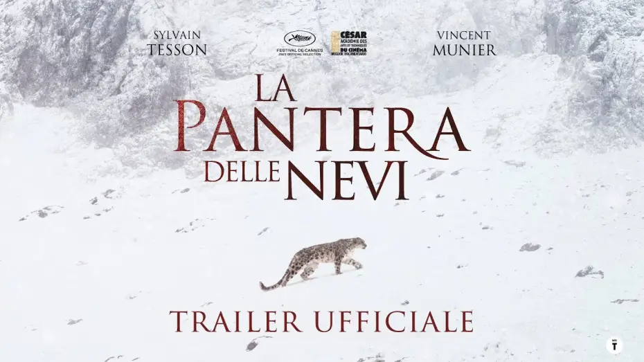 Видео к фильму La Panthère des neiges — La Pantera delle Nevi - dal 20 ottobre al cinema | Trailer ITA