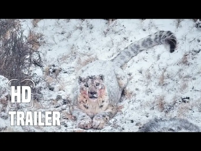 Видео к фильму La Panthère des neiges — DER SCHNEELEOPARD Trailer German Deutsch (2022)