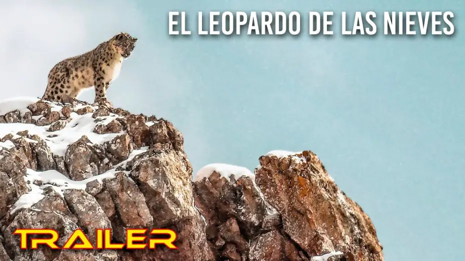 Видео к фильму La Panthère des neiges — El leopardo de las nieves - Tráiler español