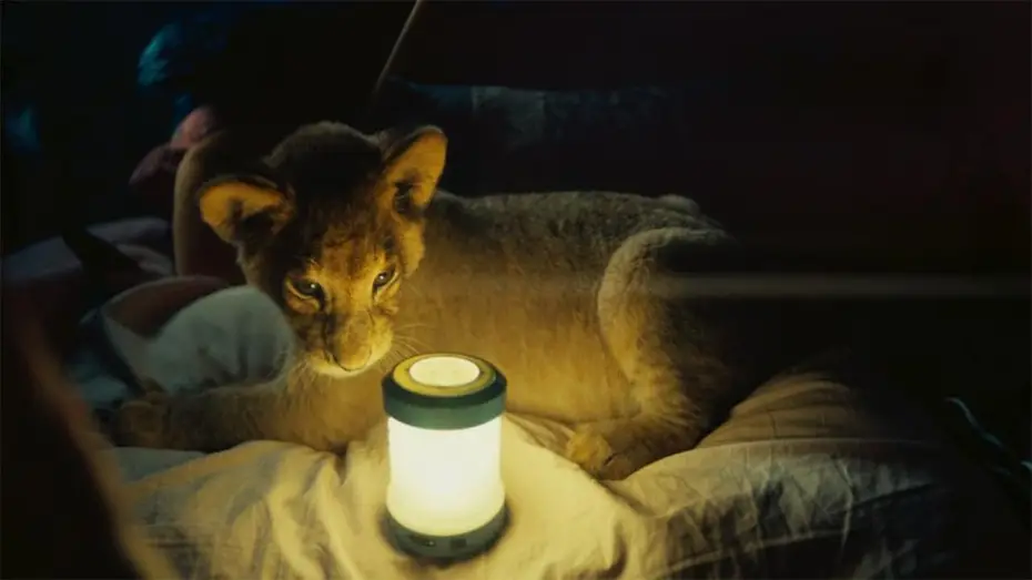 Видео к фильму Король-львёнок — King, mi pequeño rey - Trailer español