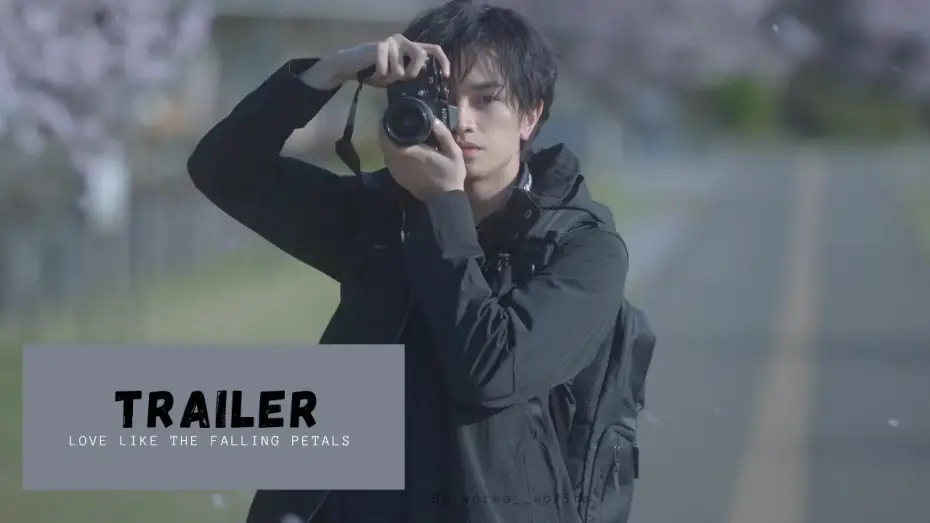 Видео к фильму Моя любимая словно цветок сакуры — [VOSTFR] | Love Like the Falling Petals - TRAILER | Japonais Drama| Nakajima Kento, Matsumoto Honoka