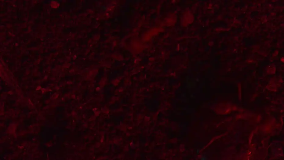 Видео к фильму RESET — RESET Intro Clip