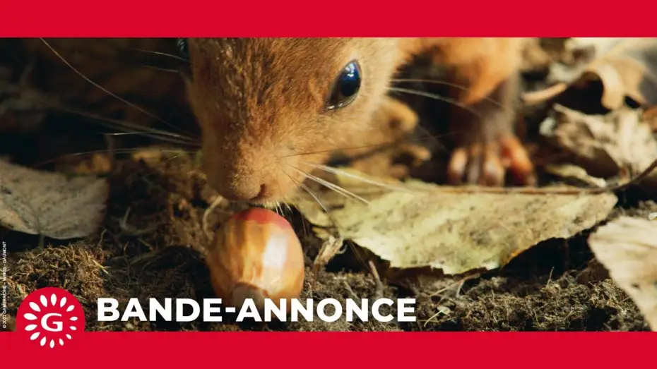 Видео к фильму Le Chêne — Le Chêne  (2022) - Bande-annonce