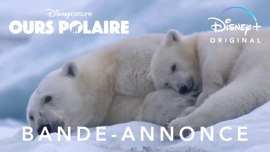 Видео к фильму Полярный медведь — Ours polaire - Bande Annonce [VOST]