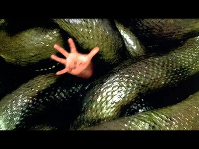 Видео к фильму Анаконда 2: Охота за проклятой орхидеей | ANACONDAS: La Cacer&iacute;a Por La Orqu&iacute;dea Sangrienta (Trailer espa&ntilde;ol)