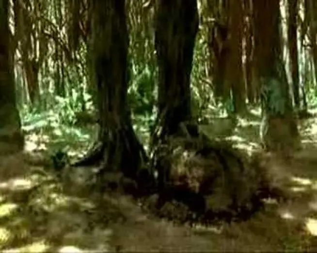 Видео к фильму Мост в Терабитию | Un Ponte Per Terabithia (Trailer Italiano)