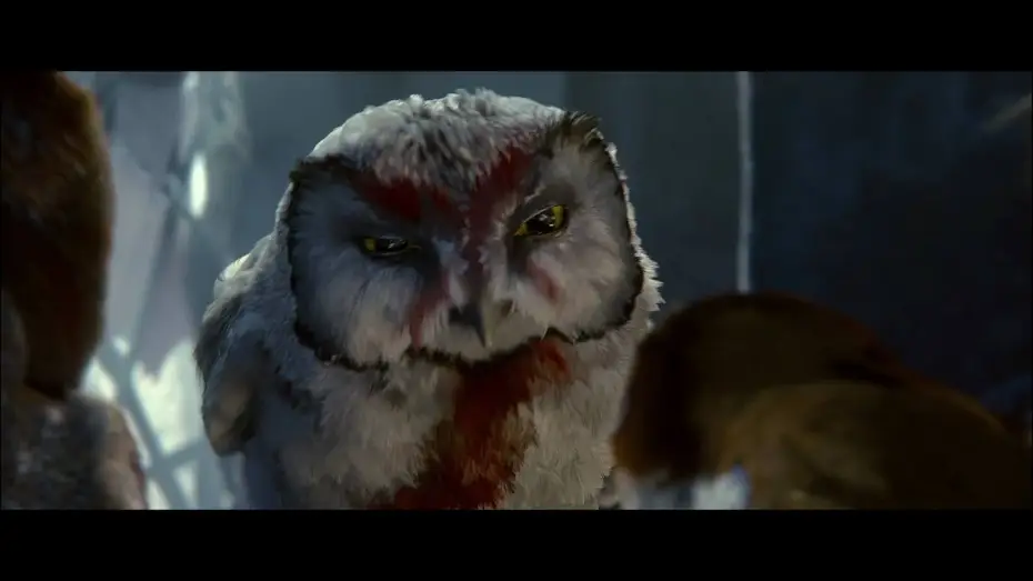 Видео к фильму Легенды ночных стражей | Legend of the Guardians: The Owls of Ga'Hoole An IMAX 3D Experience Trailer