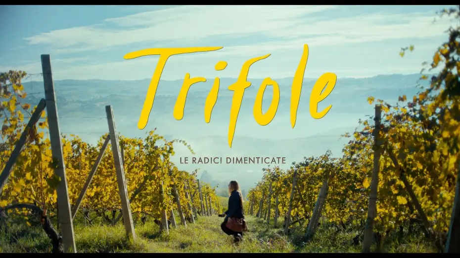 Видео к фильму Трюфель | TRIFOLE - Le radici dimenticate - TEASER - dal 17 ottobre al cinema