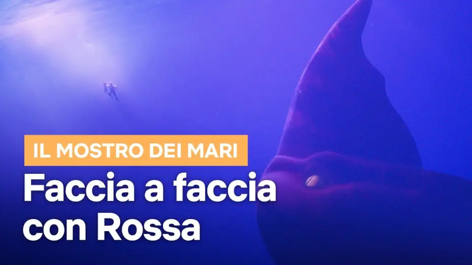 Видео к фильму Морской монстр | Faccia a faccia con Rossa