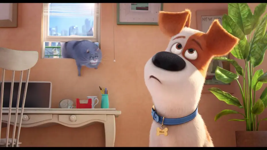 Видео к фильму Тайная жизнь домашних животных | Comme des b&ecirc;tes / "Les amoureux des chats" VF [Au cin&eacute;ma le 27 Juillet]