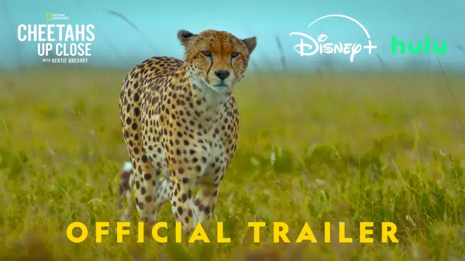 Видео к фильму Гепарды: лицом к лицу с Берти Грегори | Official Promo