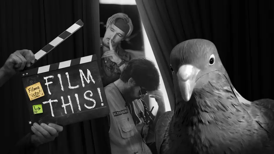 Видео к фильму Filma isto! | Film This! | 4K Full Movie | Original Title: "Filma isto!"