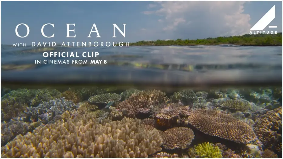 Видео к фильму Океан с Дэвидом Аттенборо | 'Scuba Diving' Clip