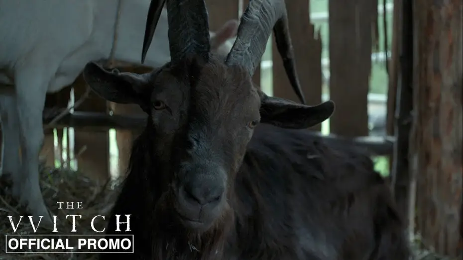 Видео к фильму Ведьма — Black Phillip - Official Promo