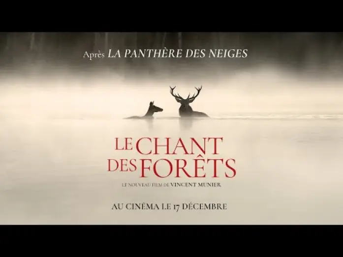 Видео к фильму Le Chant des for&ecirc;ts | LE CHANT DES FOR&Ecirc;TS - Bande-annonce
