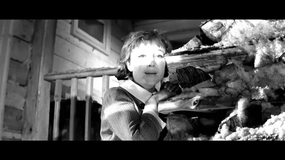 Видео к фильму Девчата | Девчата - Trailer