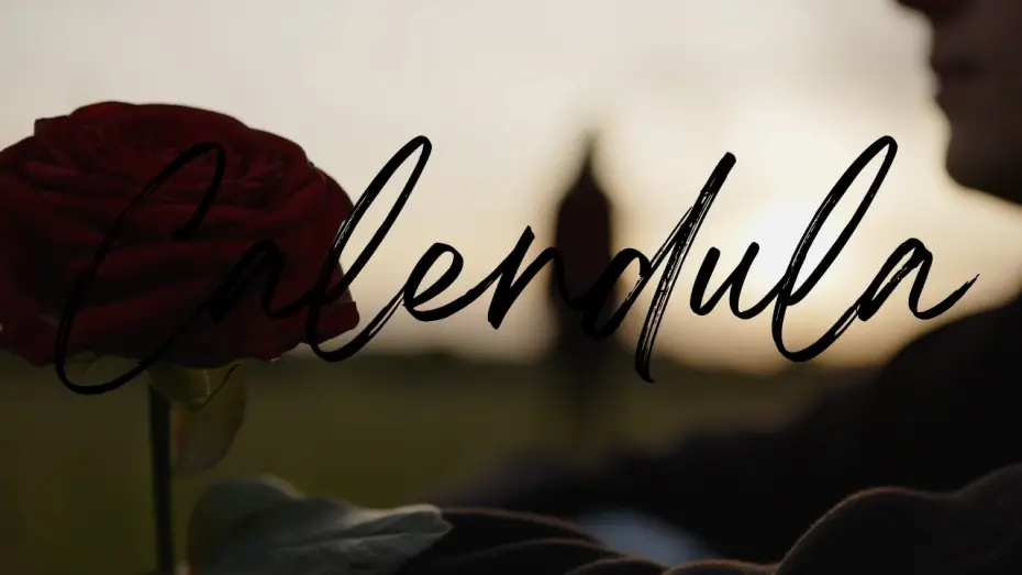 Видео к фильму Calendula — Calendula