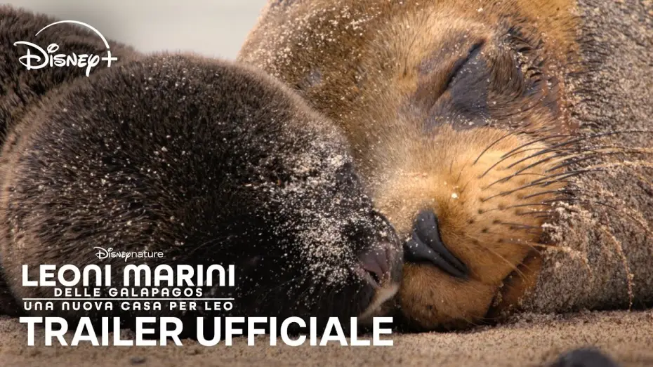 Видео к фильму Sea Lions of the Galapagos | Leoni Marini delle Galapagos | Trailer Ufficiale | Dal 22 Aprile su Disney+