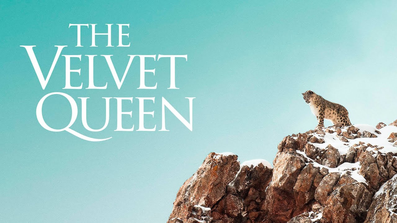 Видео к фильму The Velvet Queen | The Velvet Queen - Official Trailer - English Sub Title