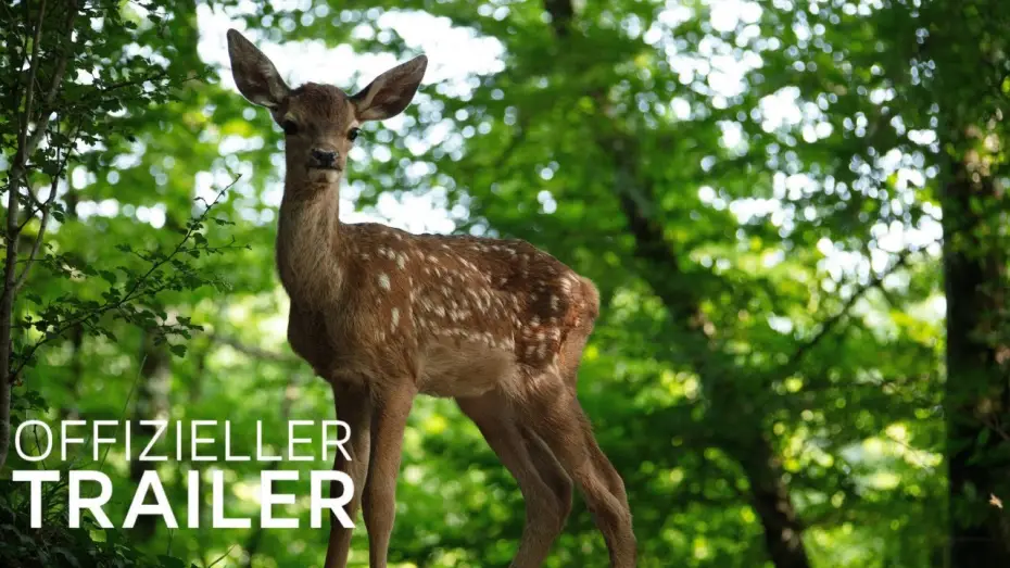 Видео к фильму Бемби. История жизни в лесу | Bambi - Eine Lebensgeschichte aus dem Walde  | Trailer (Deutsch / German) | 2025