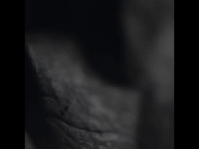 Видео к фильму Хэллоуин — Teaser for HALLOWEEN... Full trailer coming soon... STAY TUNED