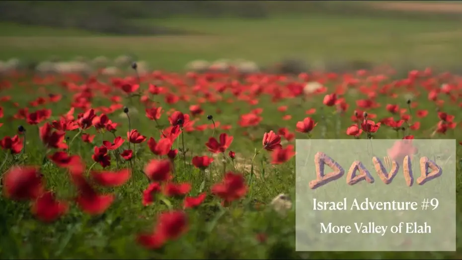 Видео к фильму Давид | David | Israel Adventure | Back to The Valley of Elah