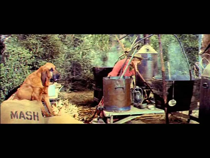 Видео к фильму Целуя кузин | Kissin' Cousins (1964)