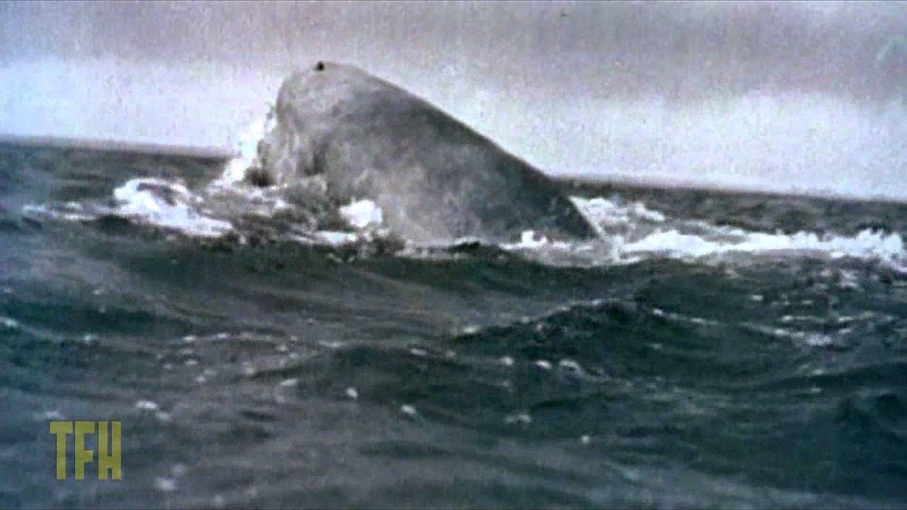 Видео к фильму Моби Дик | Ernest Dickerson on MOBY DICK