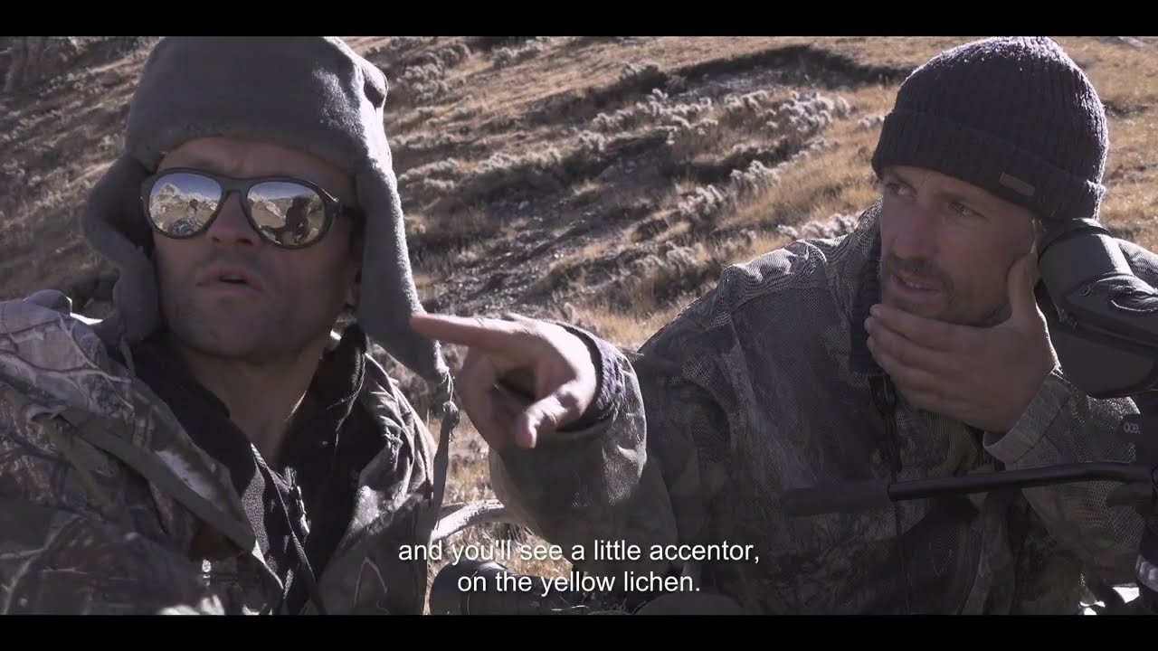 Видео к фильму The Velvet Queen | 'The Velvet Queen' (2021) - Camoflauge - English Sub Title