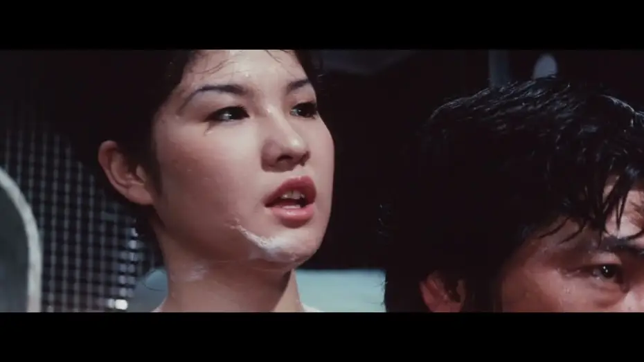 Видео к фильму 牝猫たちの夜 | Night of the Felines (1972) | Trailer | Noboru Tanaka