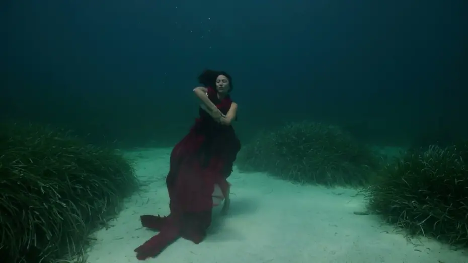 Видео к фильму The Swimming Diaries — The Swimming Diaries Trailer (2024)
