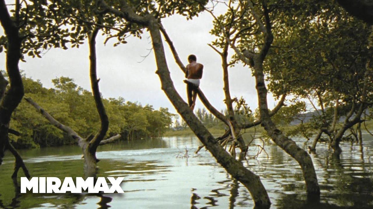 Видео к фильму Город бога | Looking for Paradise