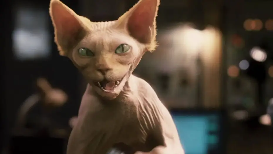 Видео к фильму Кошки против собак: Месть Китти Галор | Cats & Dogs - Die Rache der Kitty Kahlohr | Deutscher Trailer HD