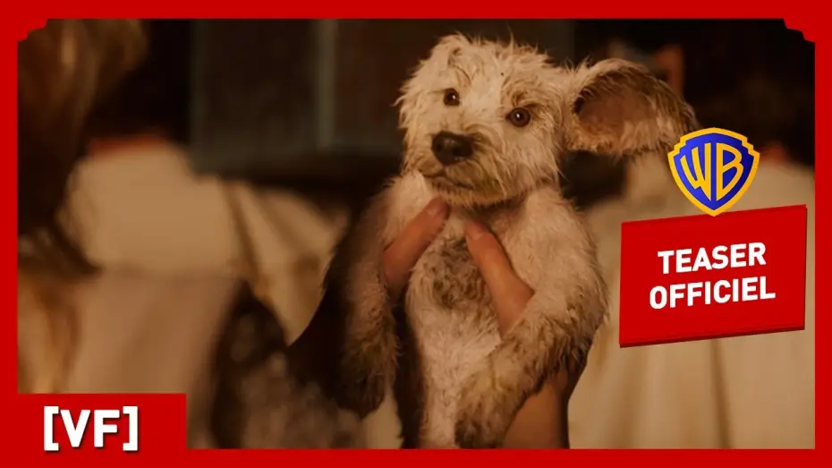 Видео к фильму Супергёрл | Supergirl | Teaser Krypto (VF) | Milly Alcock, Jason Momoa