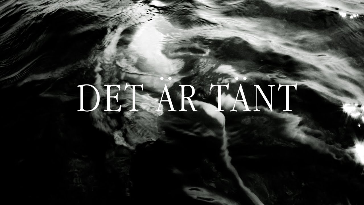 Видео к фильму It Is Lit | Official Trailer